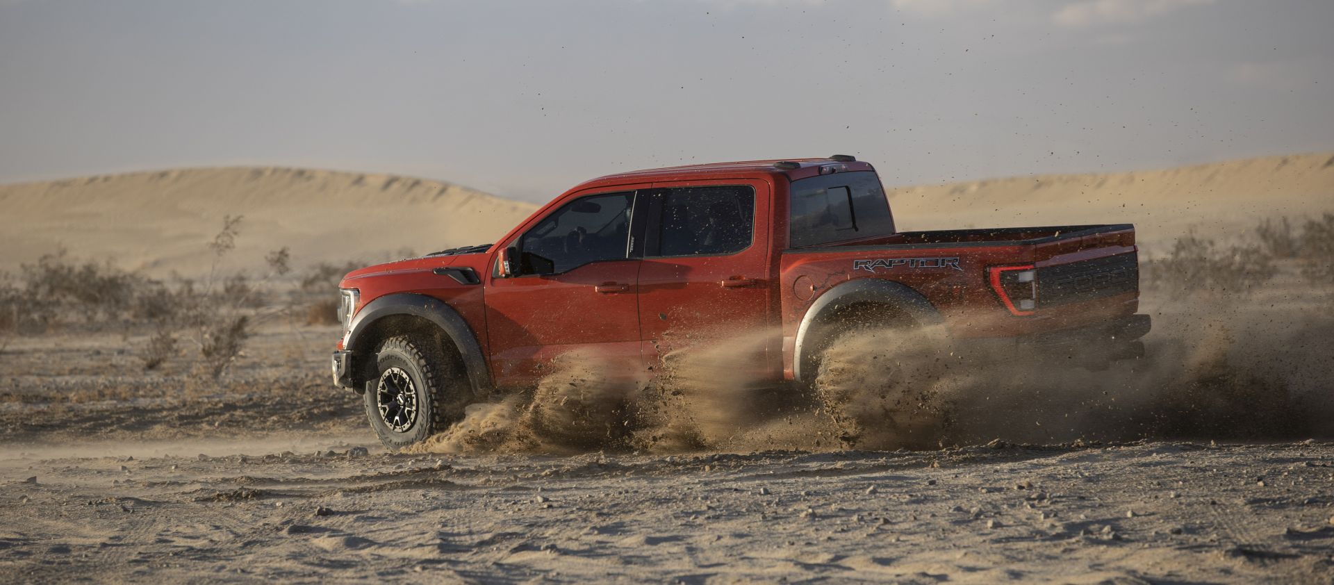 Ford F-150 Raptor photo 17