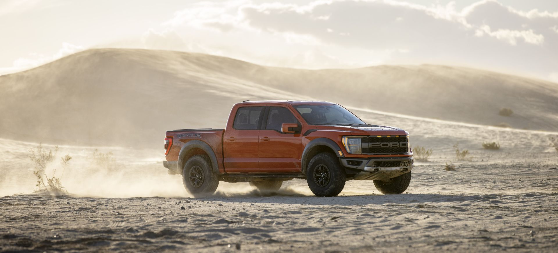 Ford F-150 Raptor photo 18