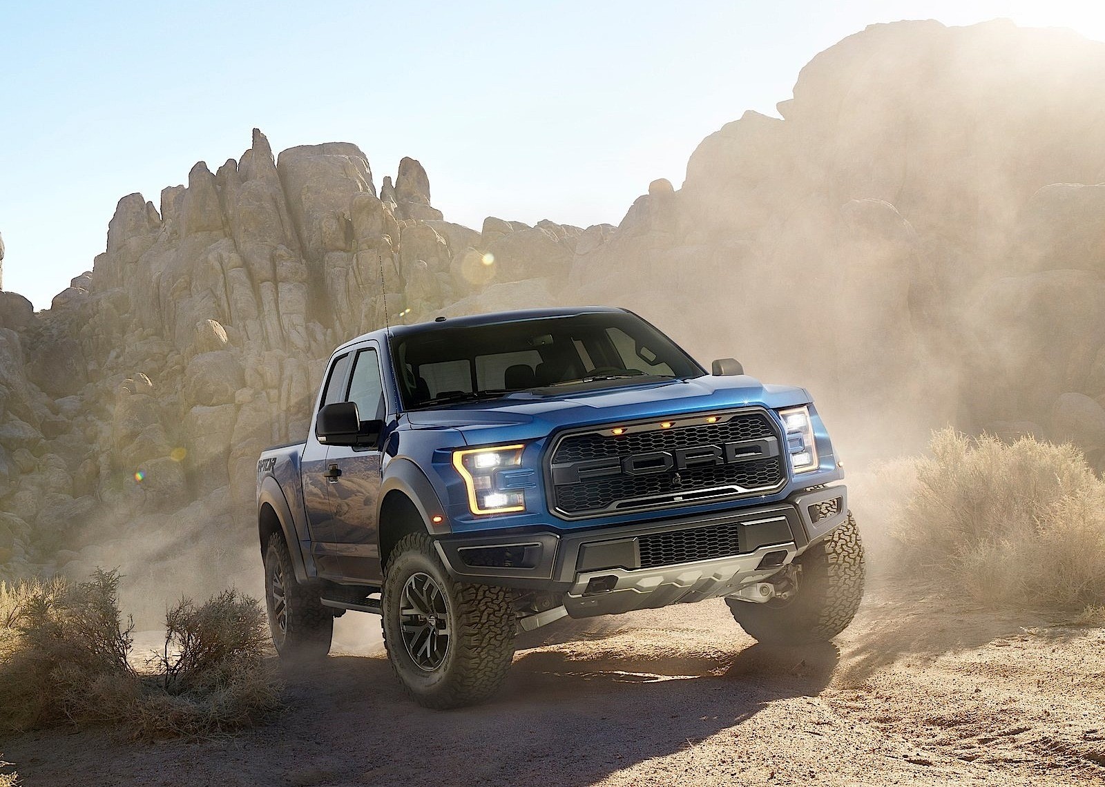 Ford F-150 Raptor photo 9