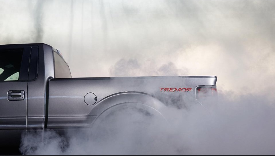 Ford F-150 Regular Cab photo 10