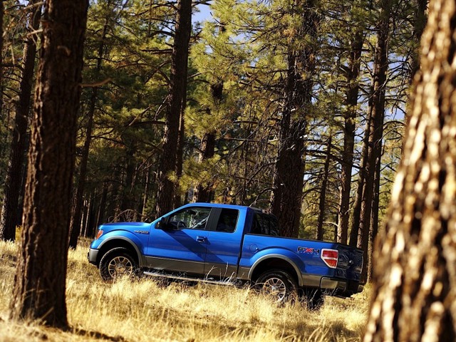 Ford F-150 Super Cab foto 16