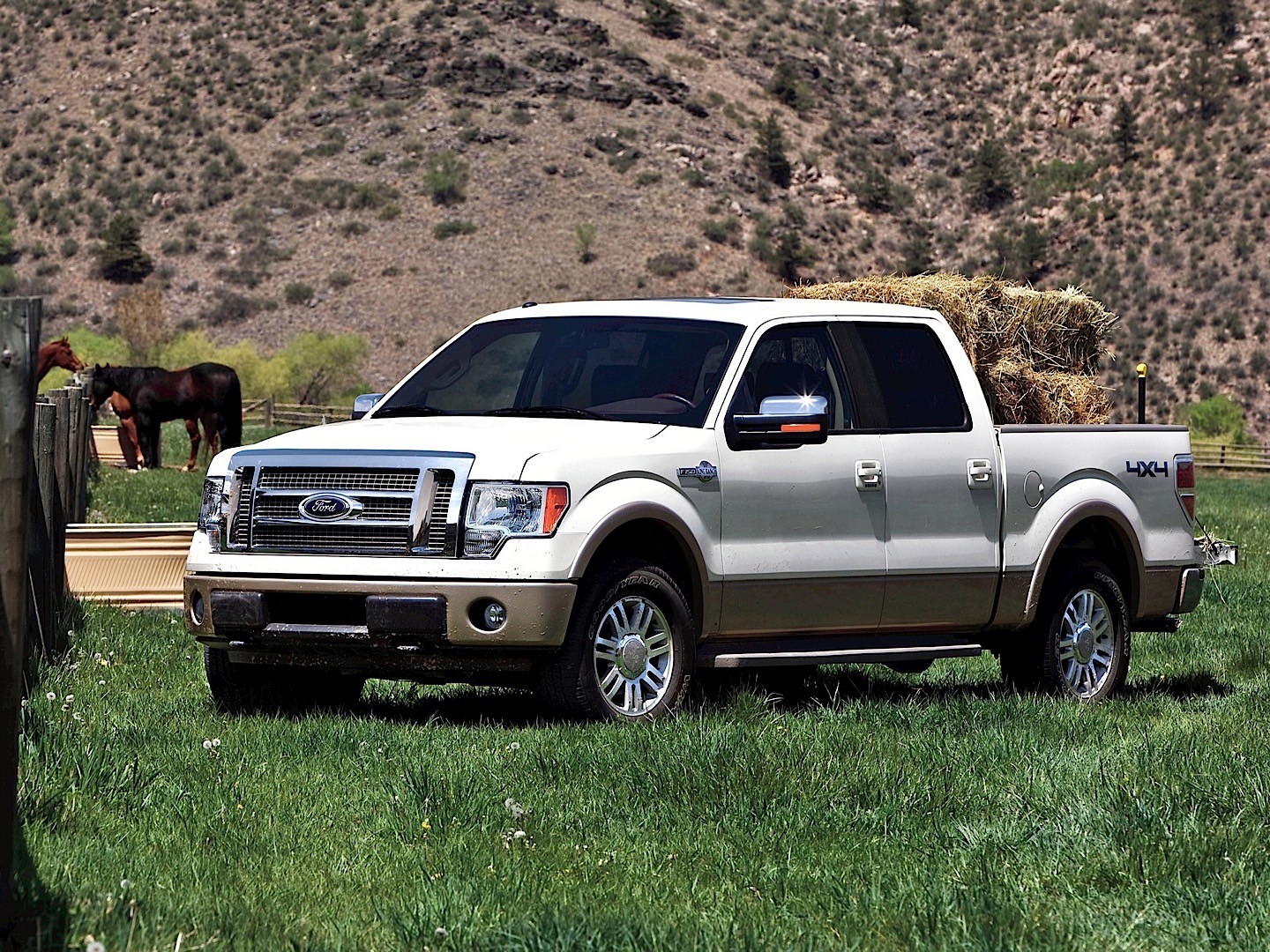 Ford F-150 Super Crew photo 17