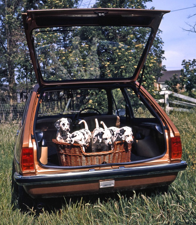 Ford Fiesta 3 Doors photo 54