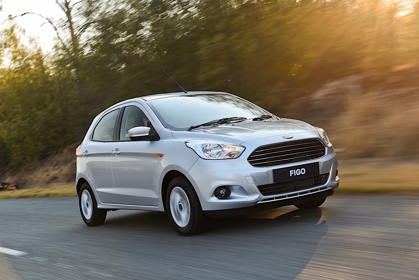Ford Figo photo 9