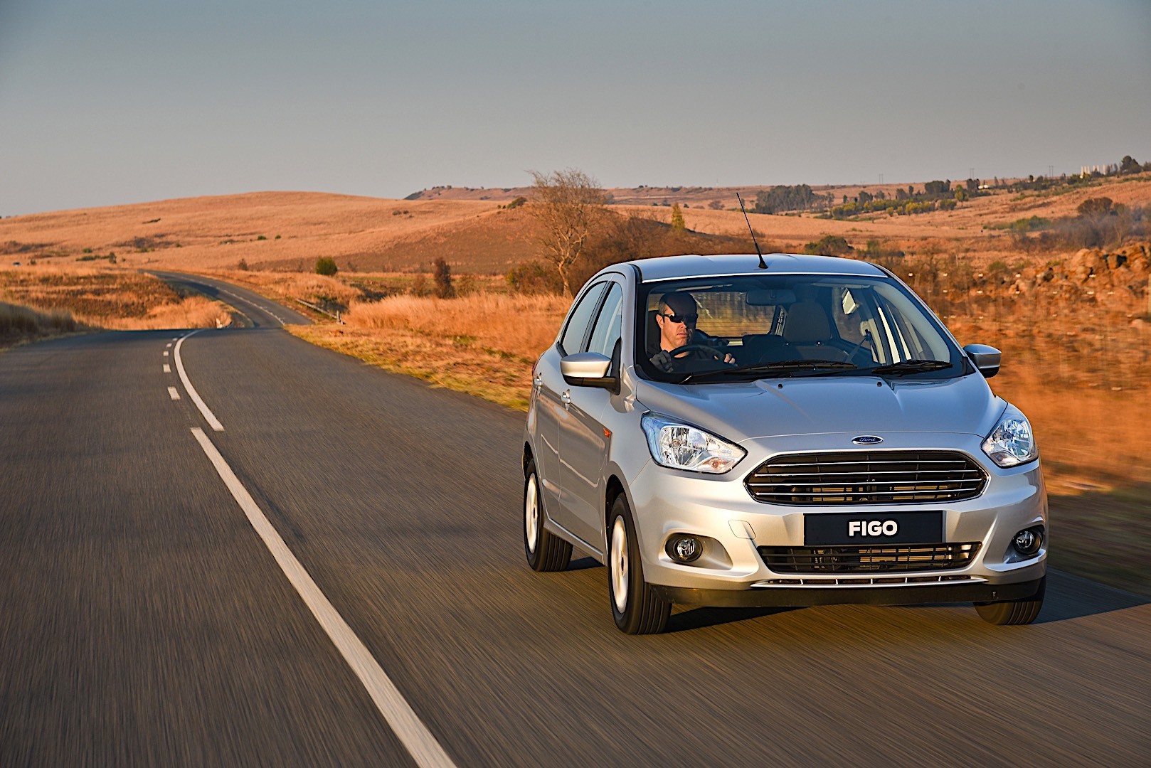 Ford Figo photo 16