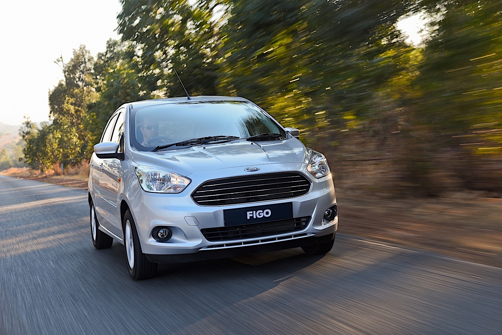 Ford Figo photo 22