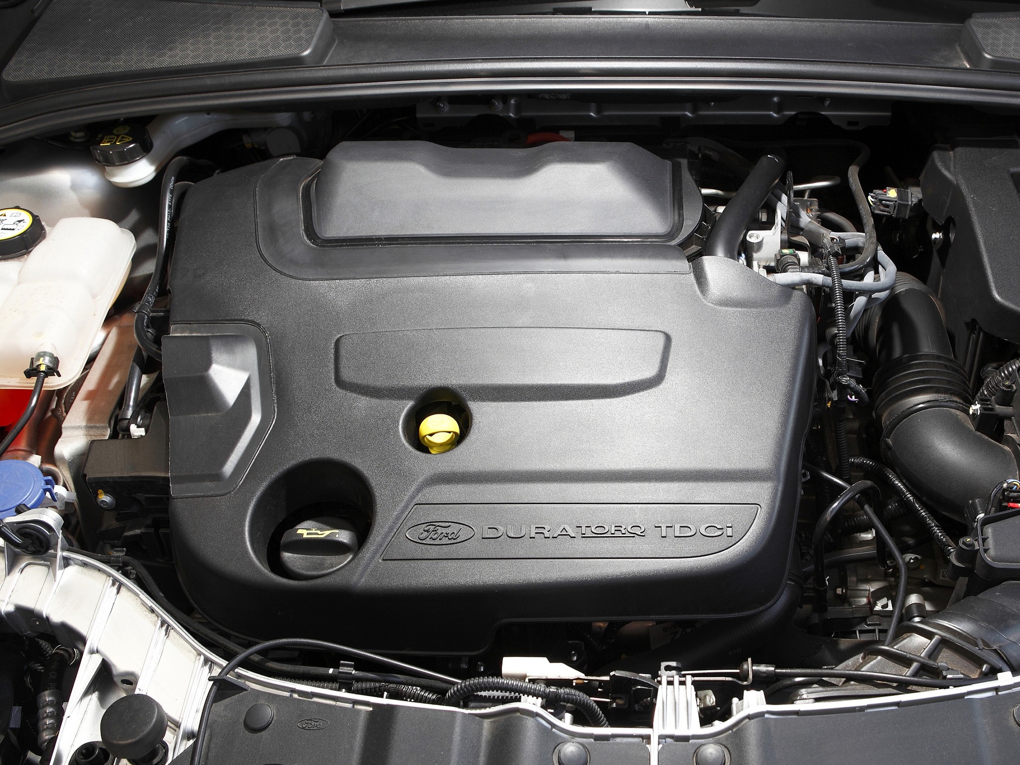 Ford Focus Sedan photo 52