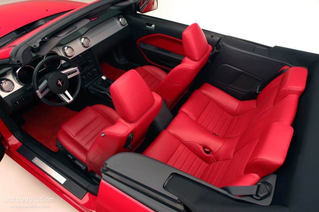 Ford Mustang Convertible photo 14