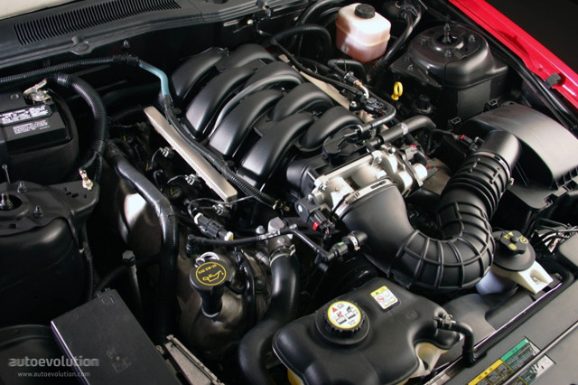 Ford Mustang Convertible photo 18