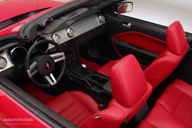 Ford Mustang Convertible photo 12