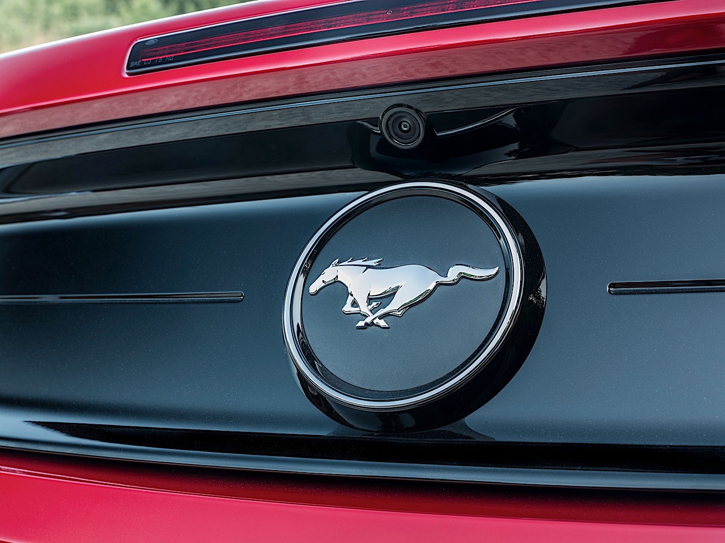 Ford Mustang Convertible photo 6