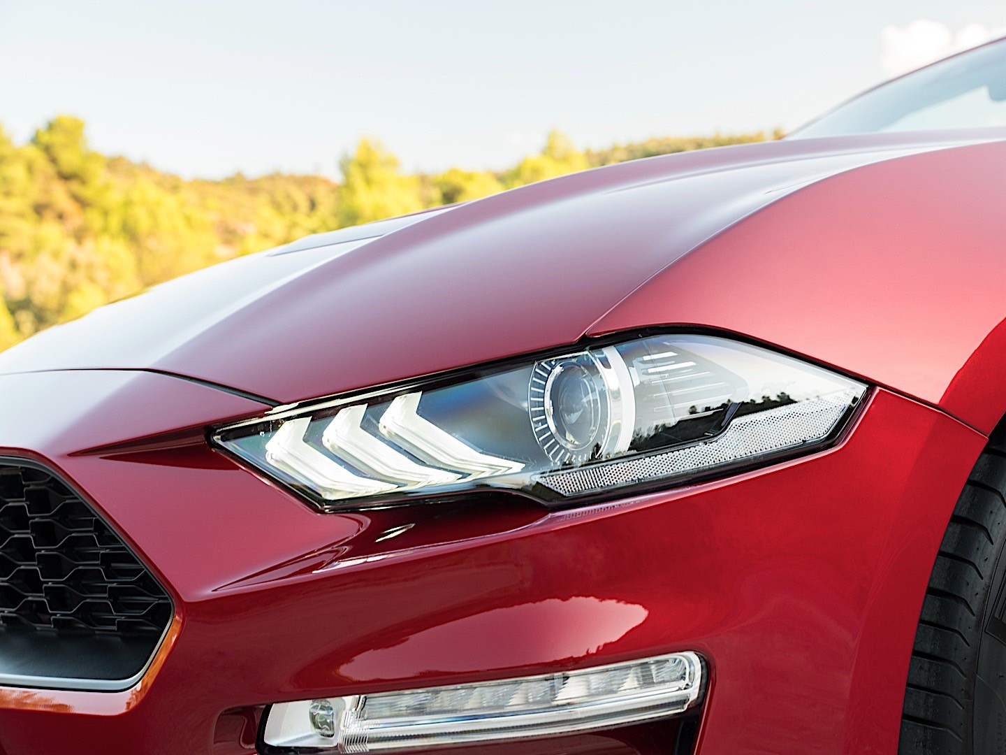 Ford Mustang Convertible photo 11