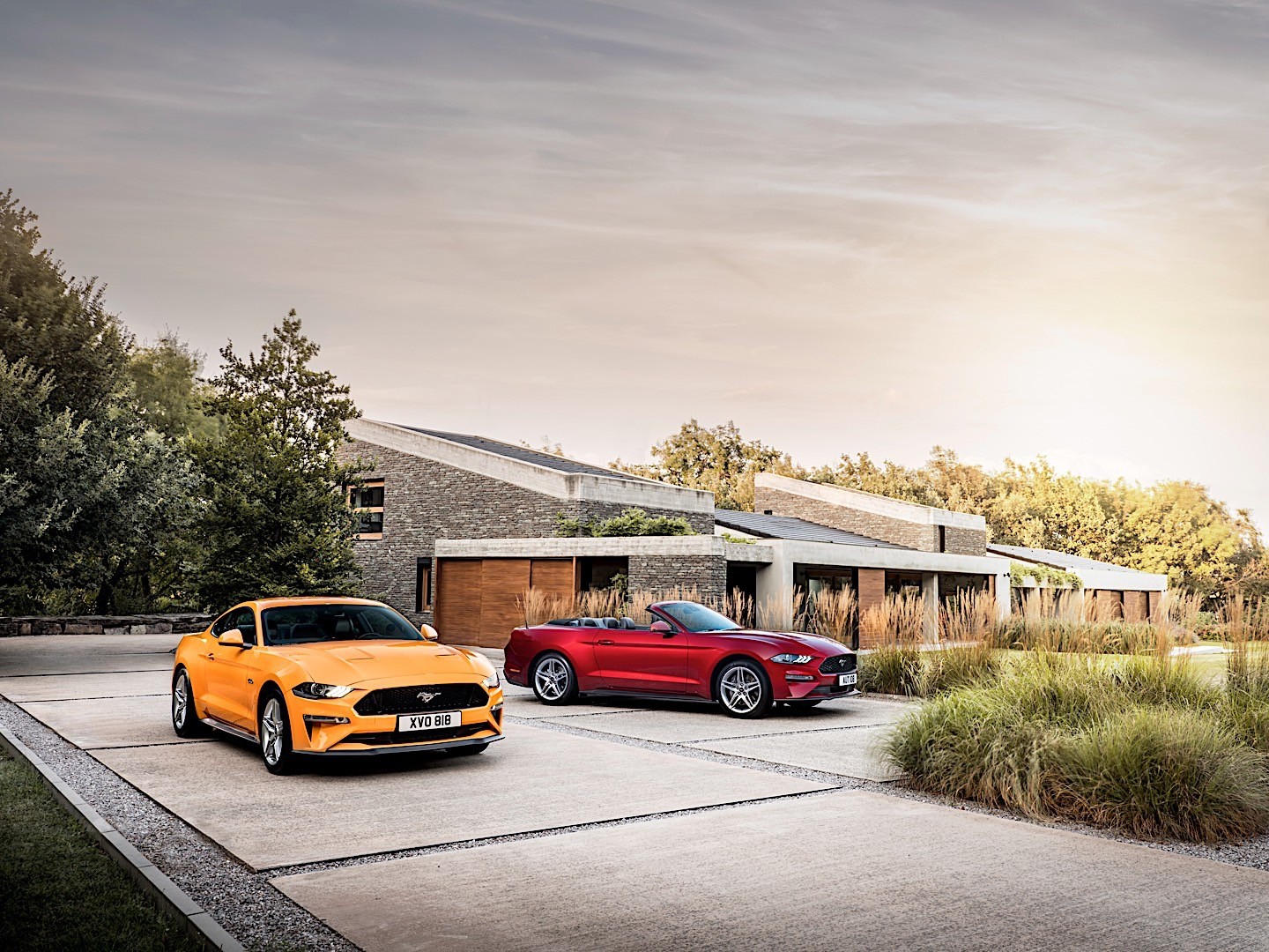 Ford Mustang Convertible photo 14