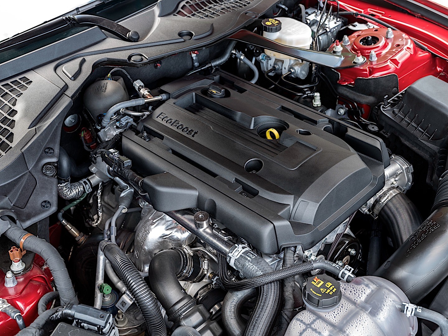 Ford Mustang Convertible photo 24