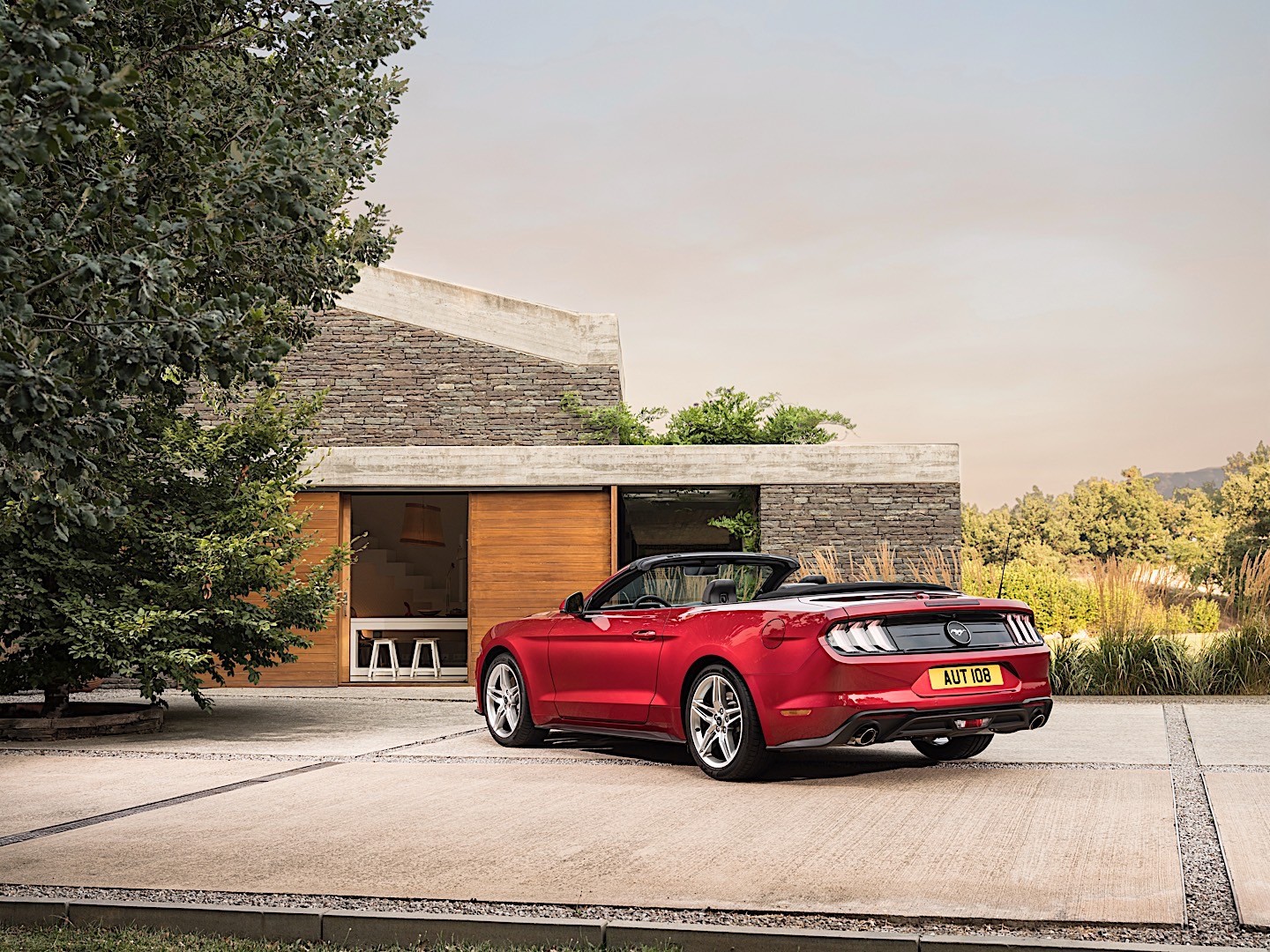 Ford Mustang Convertible photo 15