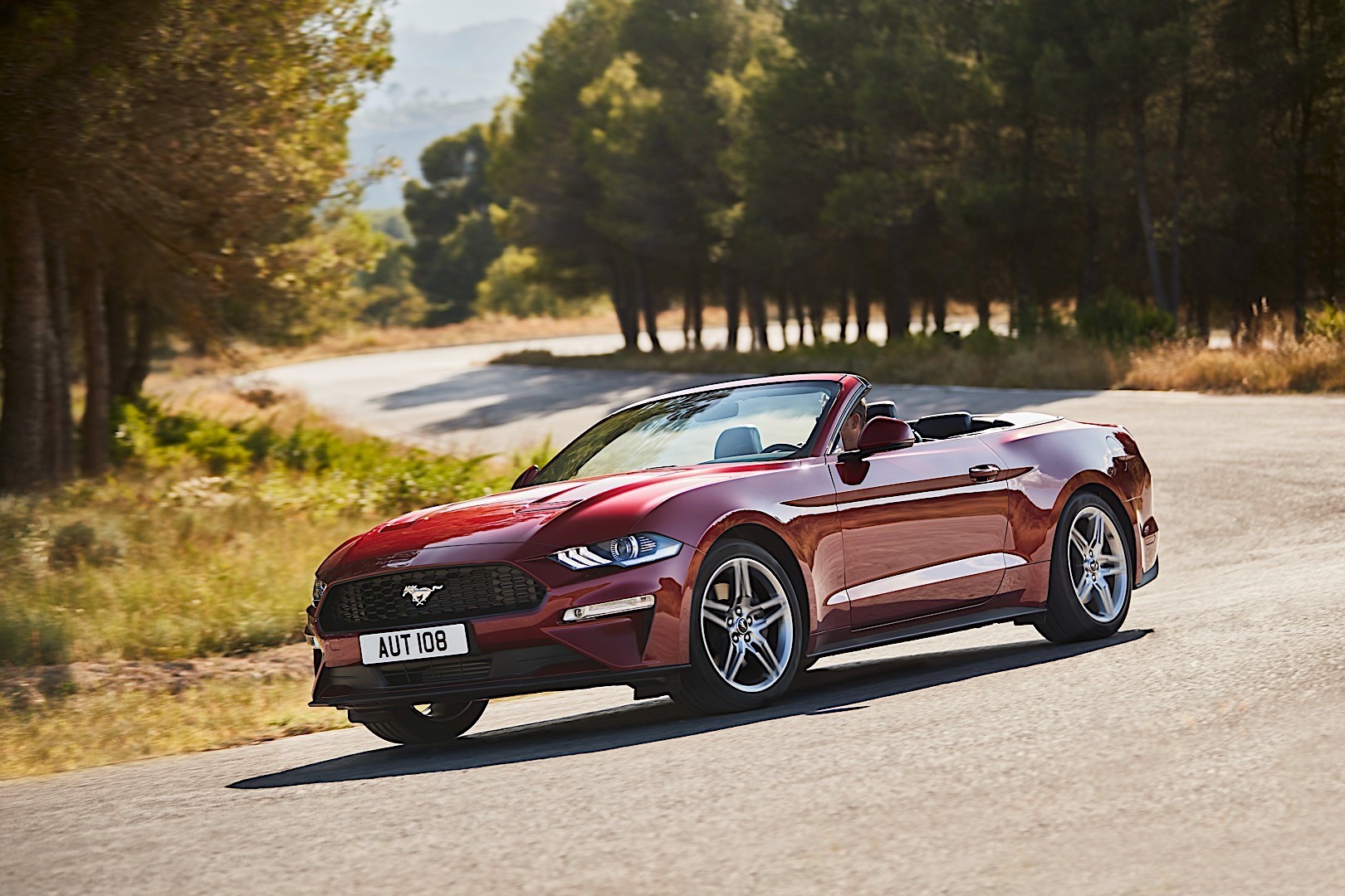 Ford Mustang Convertible photo 16