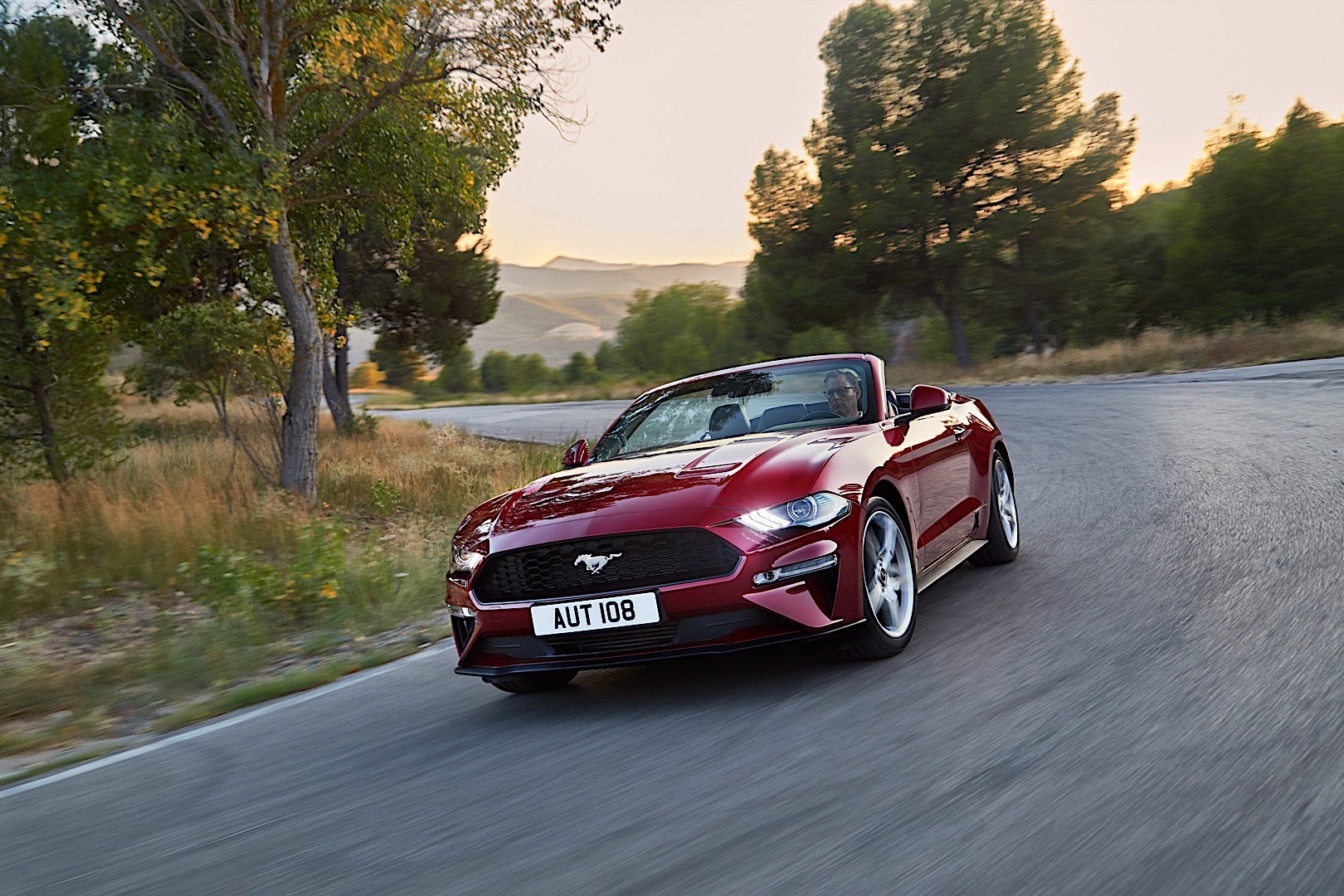 Ford Mustang Convertible photo 17