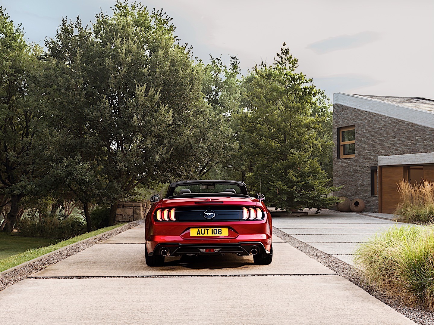 Ford Mustang Convertible photo 19