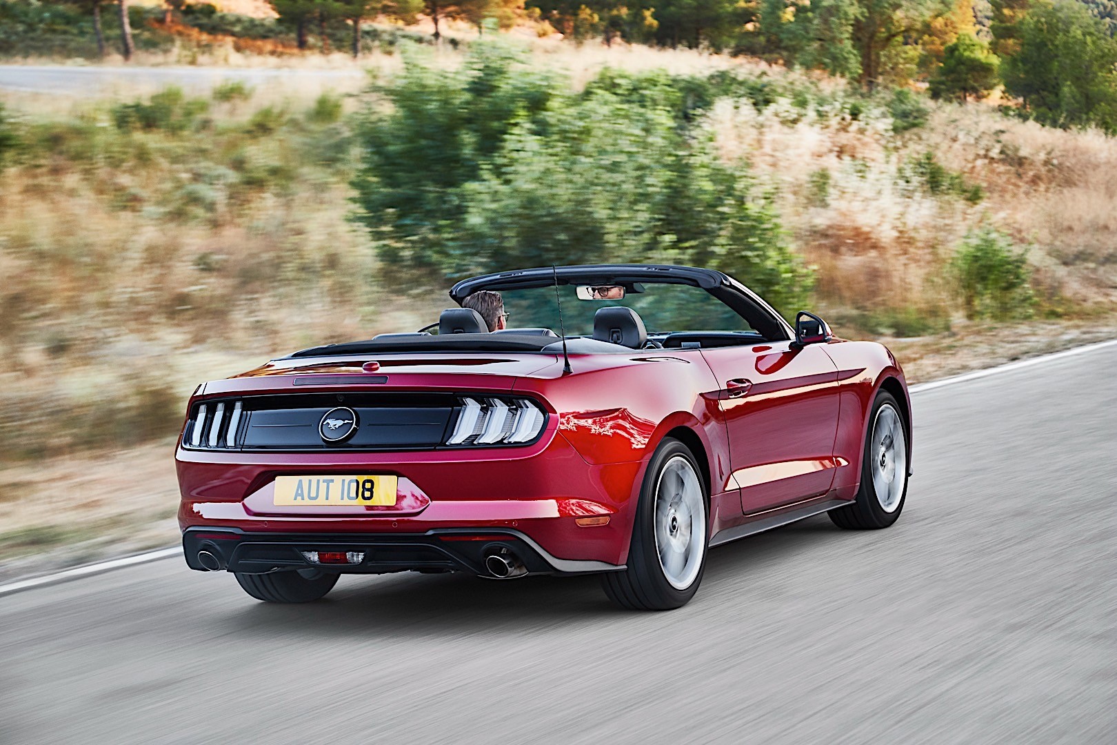 Ford Mustang Convertible photo 20