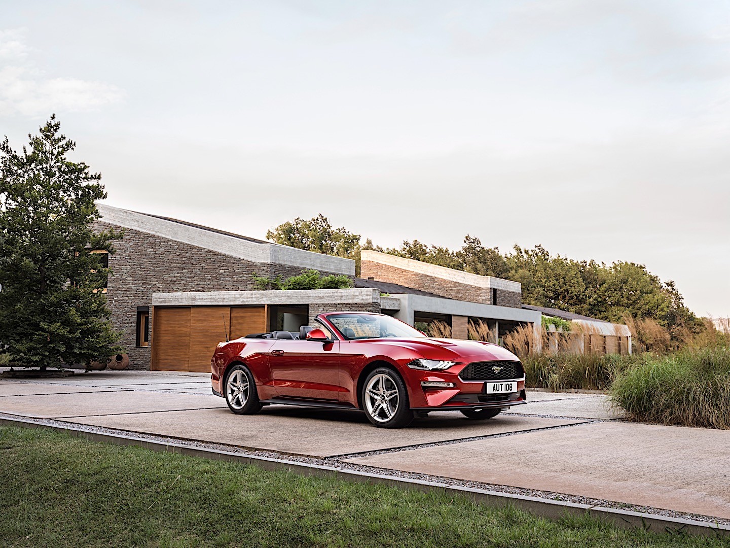 Ford Mustang Convertible photo 22