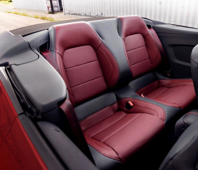Ford Mustang Convertible photo 14