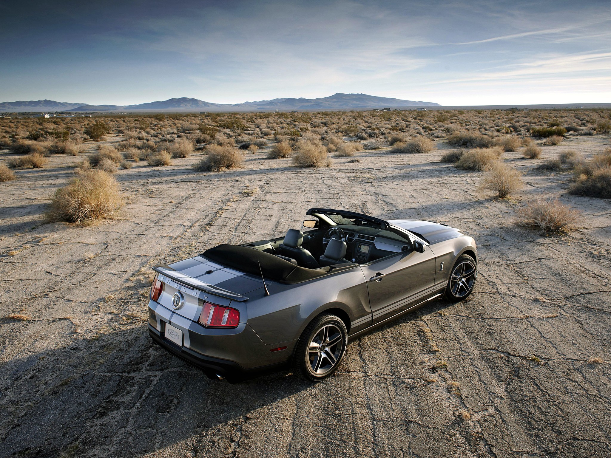 Ford Mustang Convertible photo 12