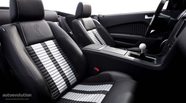 Ford Mustang Convertible photo 21
