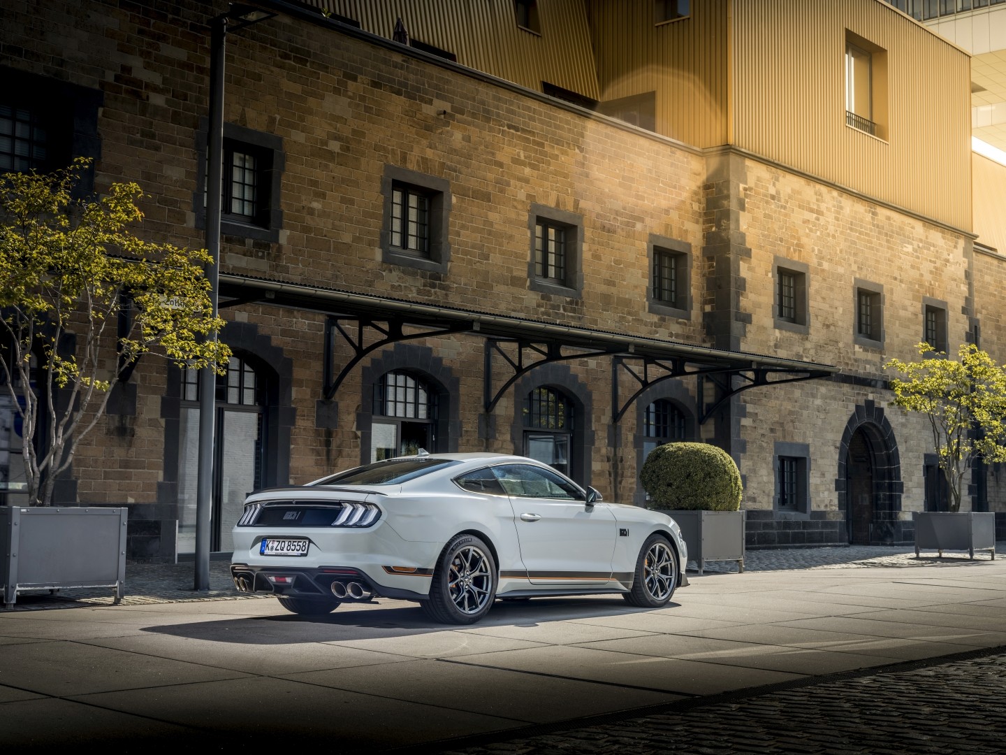 Ford Mustang Mach 1 photo 2