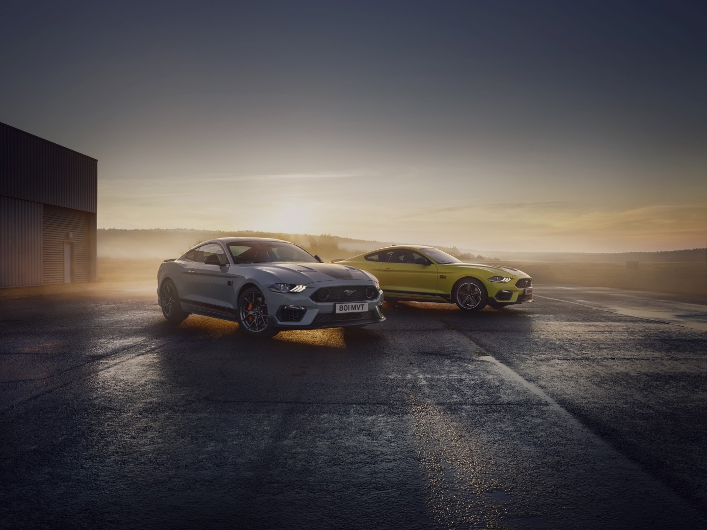 Ford Mustang Mach 1 photo 10