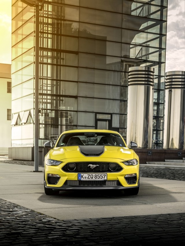 Ford Mustang Mach 1 photo 16