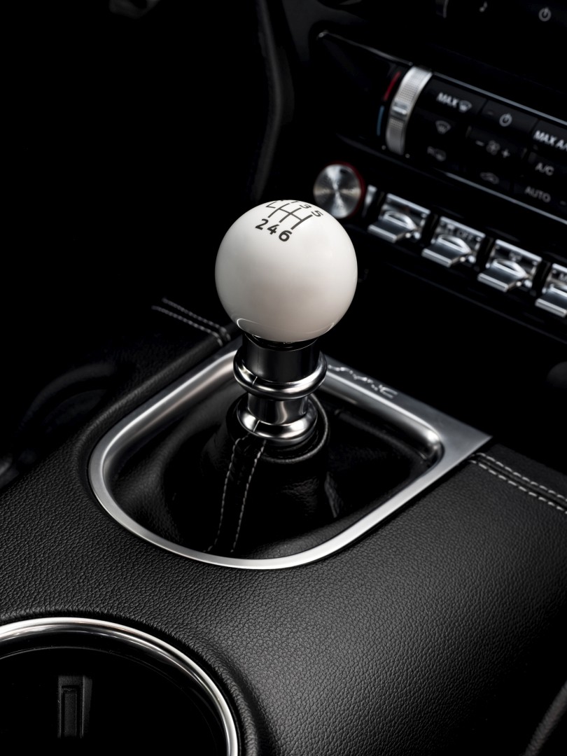 Ford Mustang Mach 1 photo 28