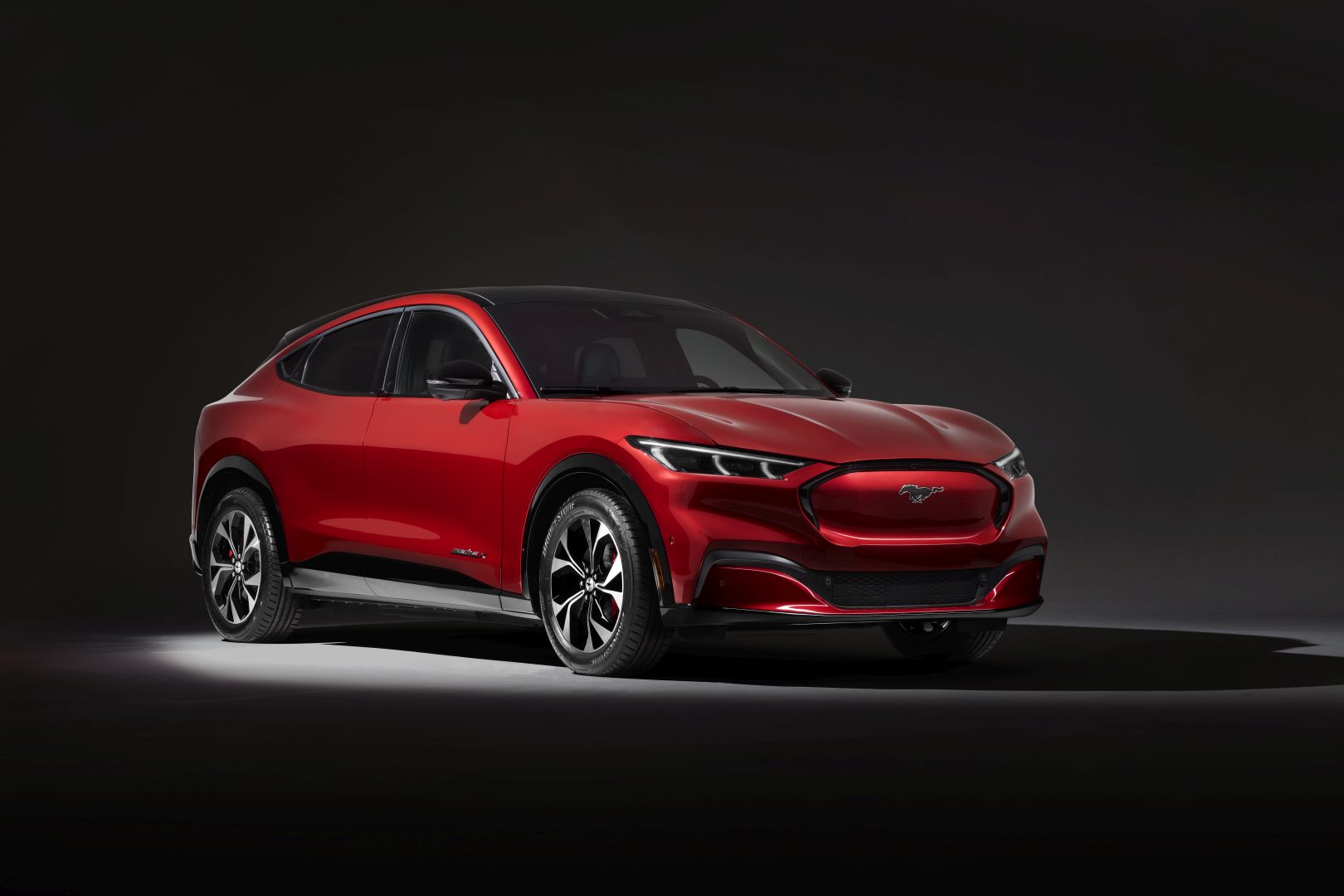 Ford Mustang Mach-E photo 16