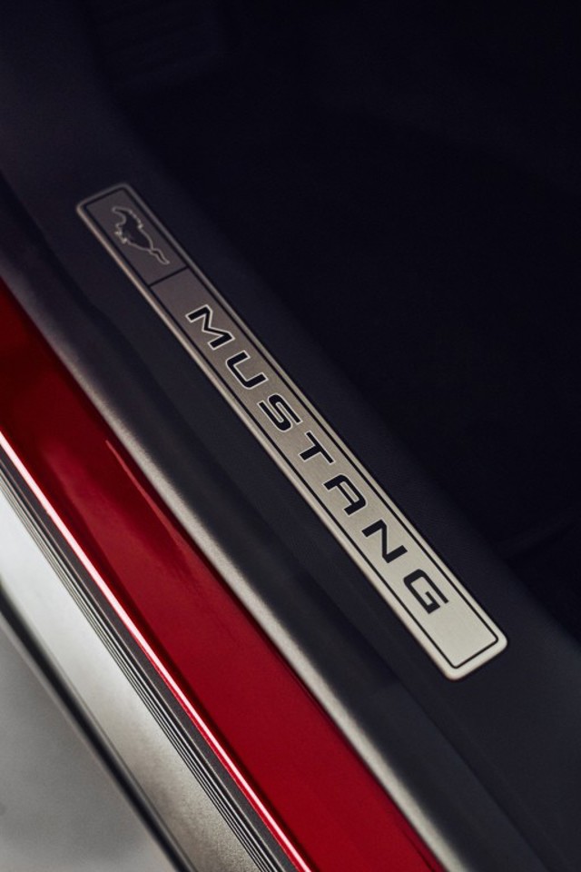 Ford Mustang Mach-E photo 61