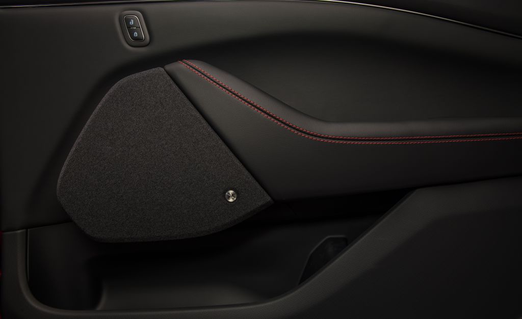 Ford Mustang Mach-E photo 62