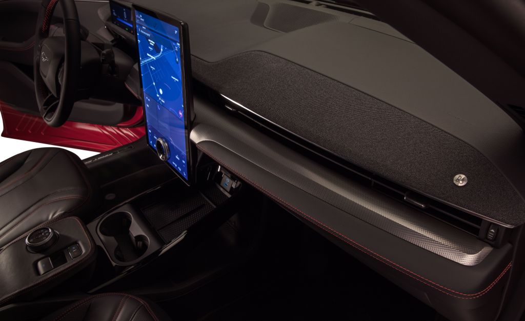 Ford Mustang Mach-E photo 64