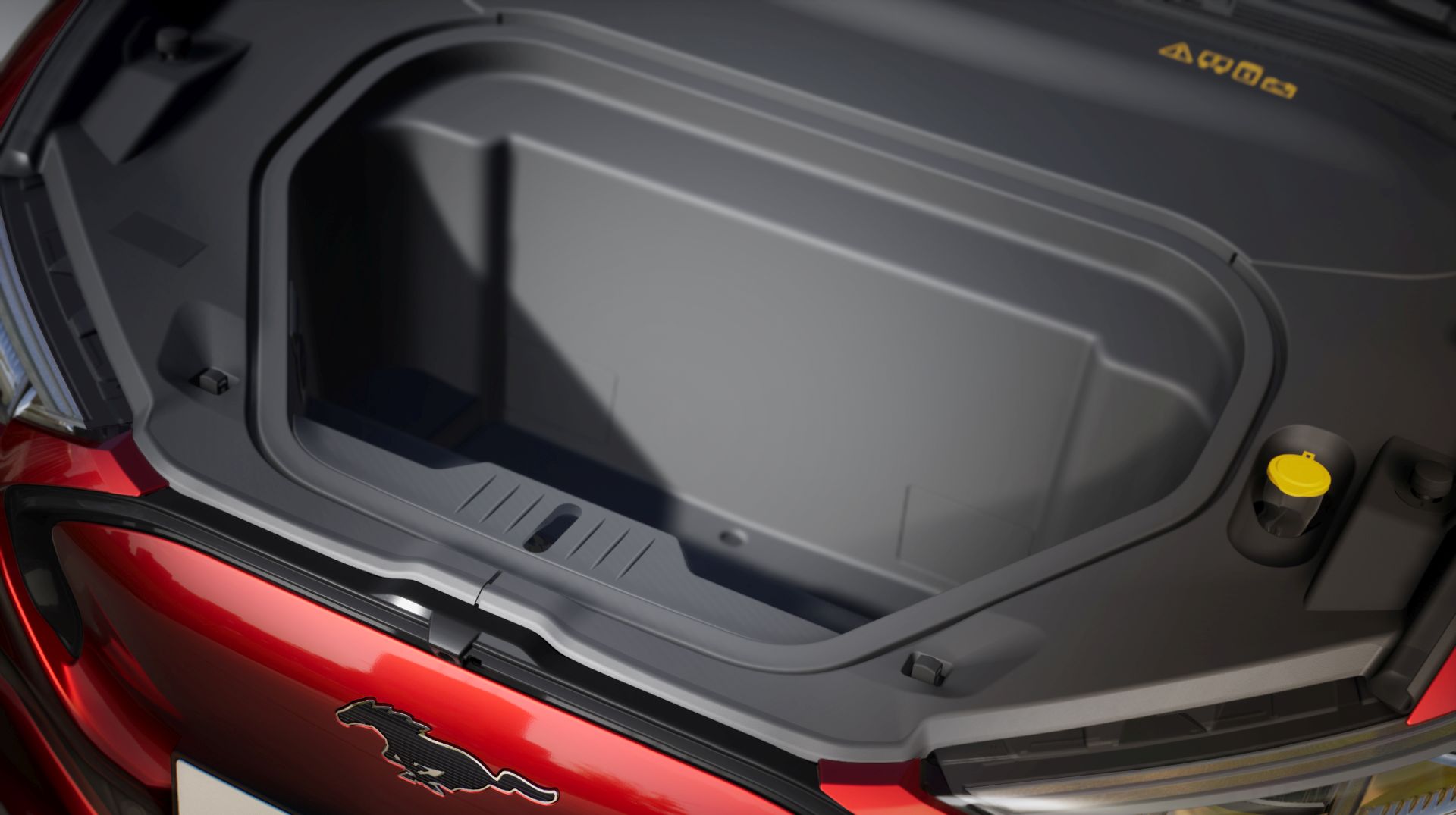 Ford Mustang Mach-E photo 56