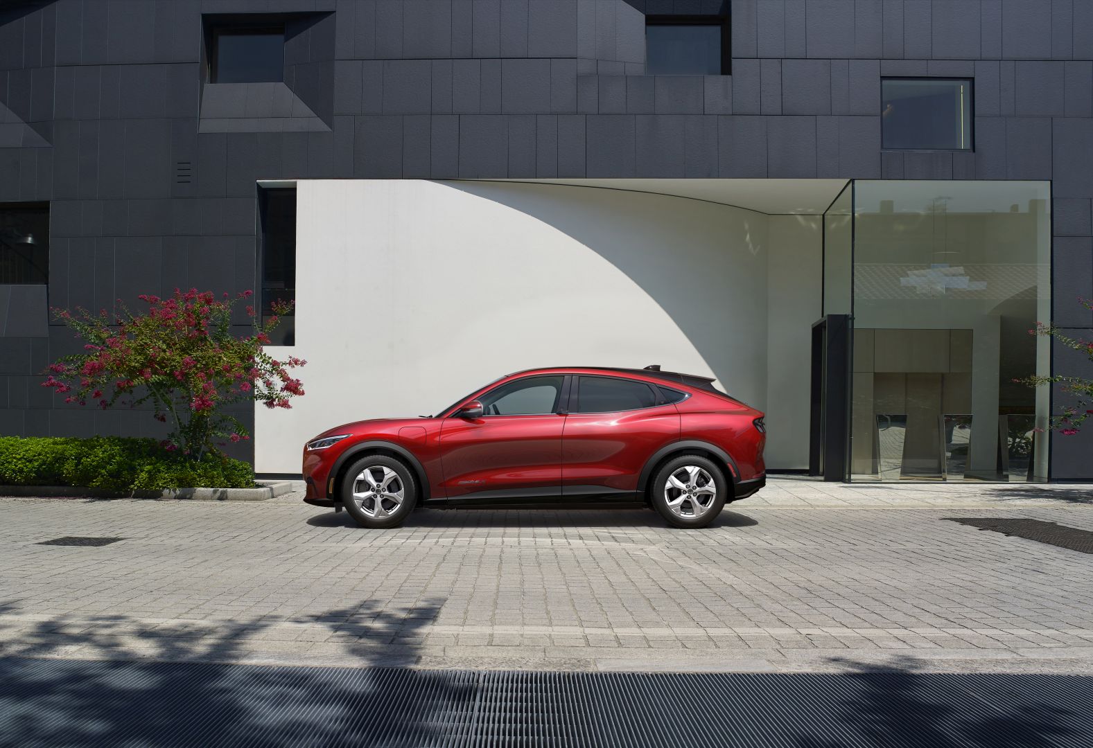 Ford Mustang Mach-E photo 2