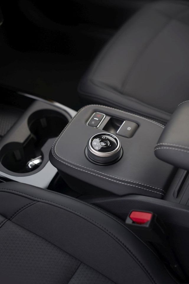 Ford Mustang Mach-E Foto 18