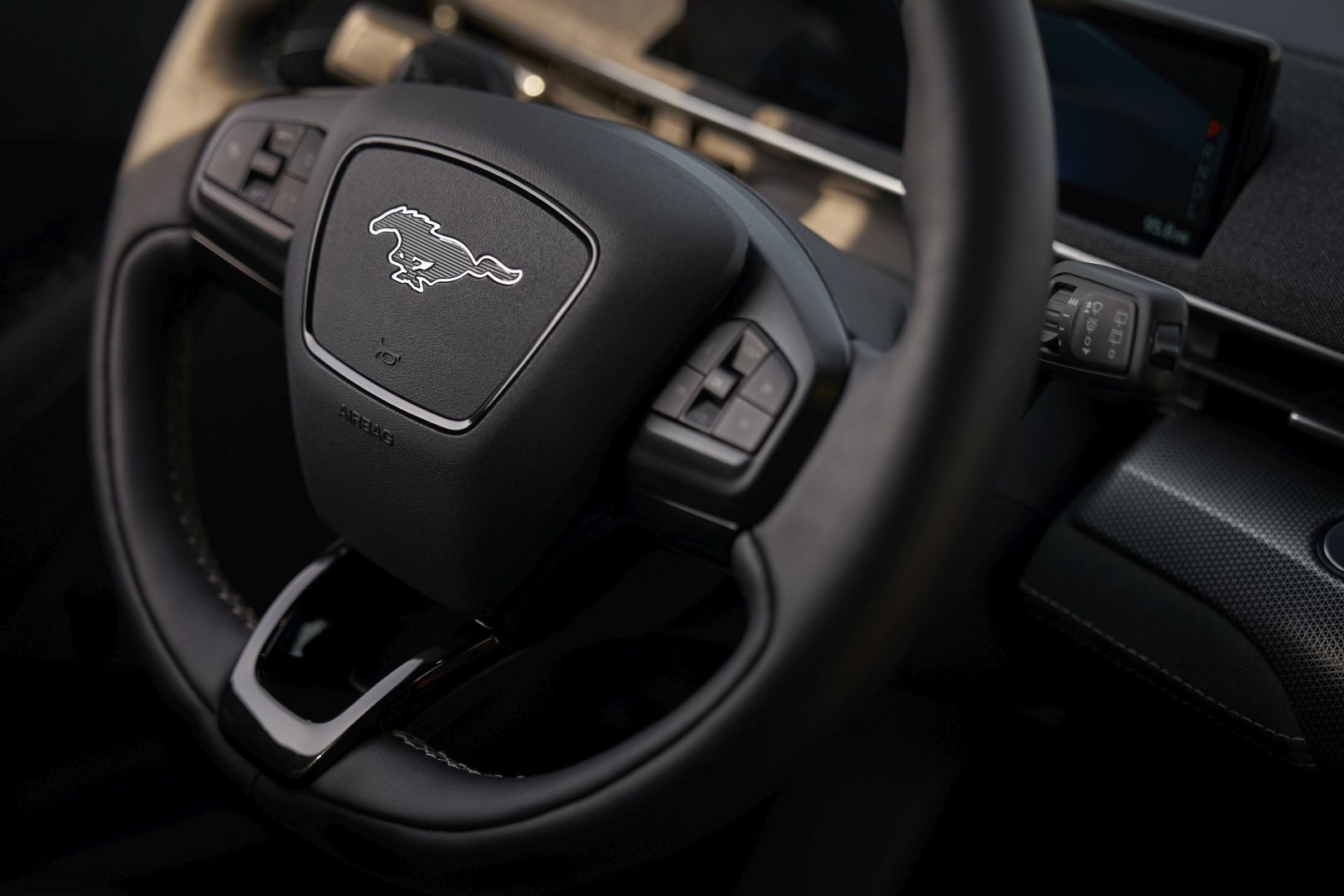 Ford Mustang Mach-E photo 20