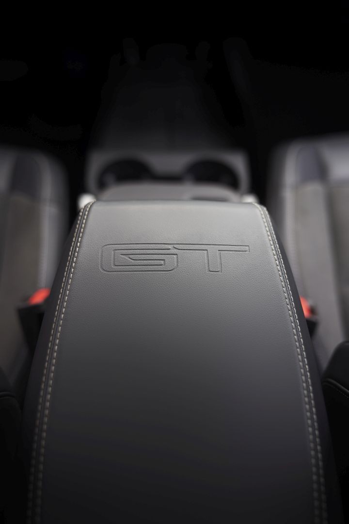 Ford Mustang Mach-E photo 22