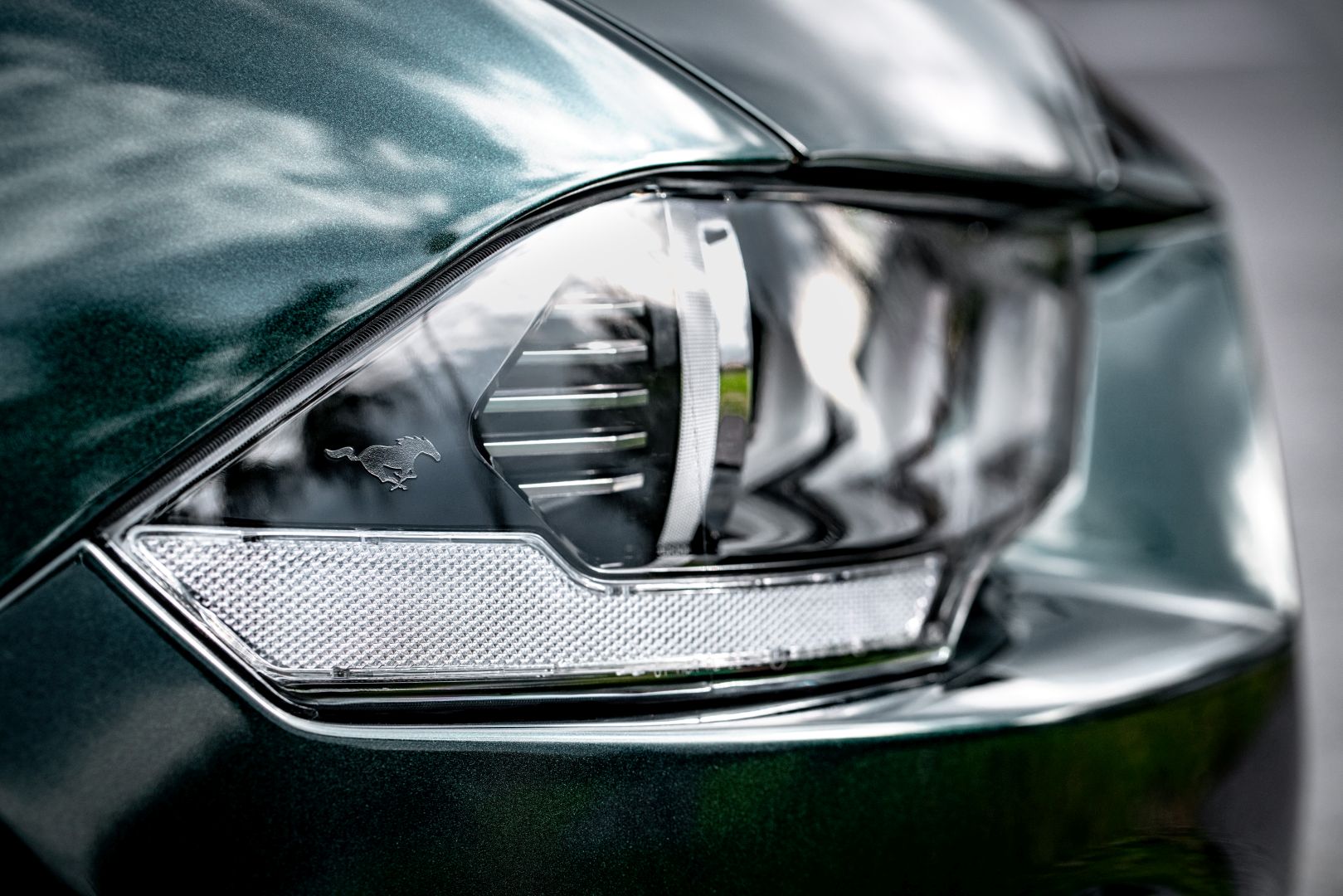 Ford Mustang photo 12