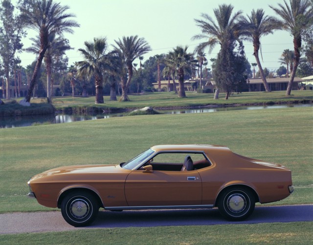 Ford Mustang Foto 18
