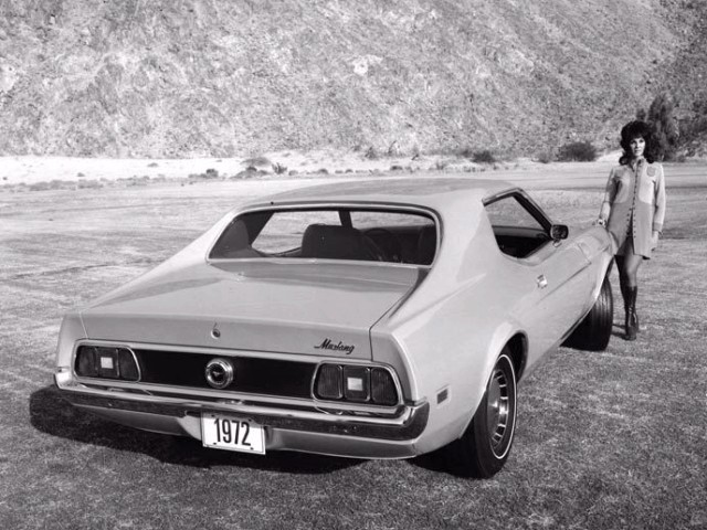 Ford Mustang photo 38