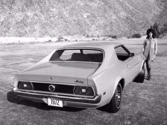 Ford Mustang Foto 38