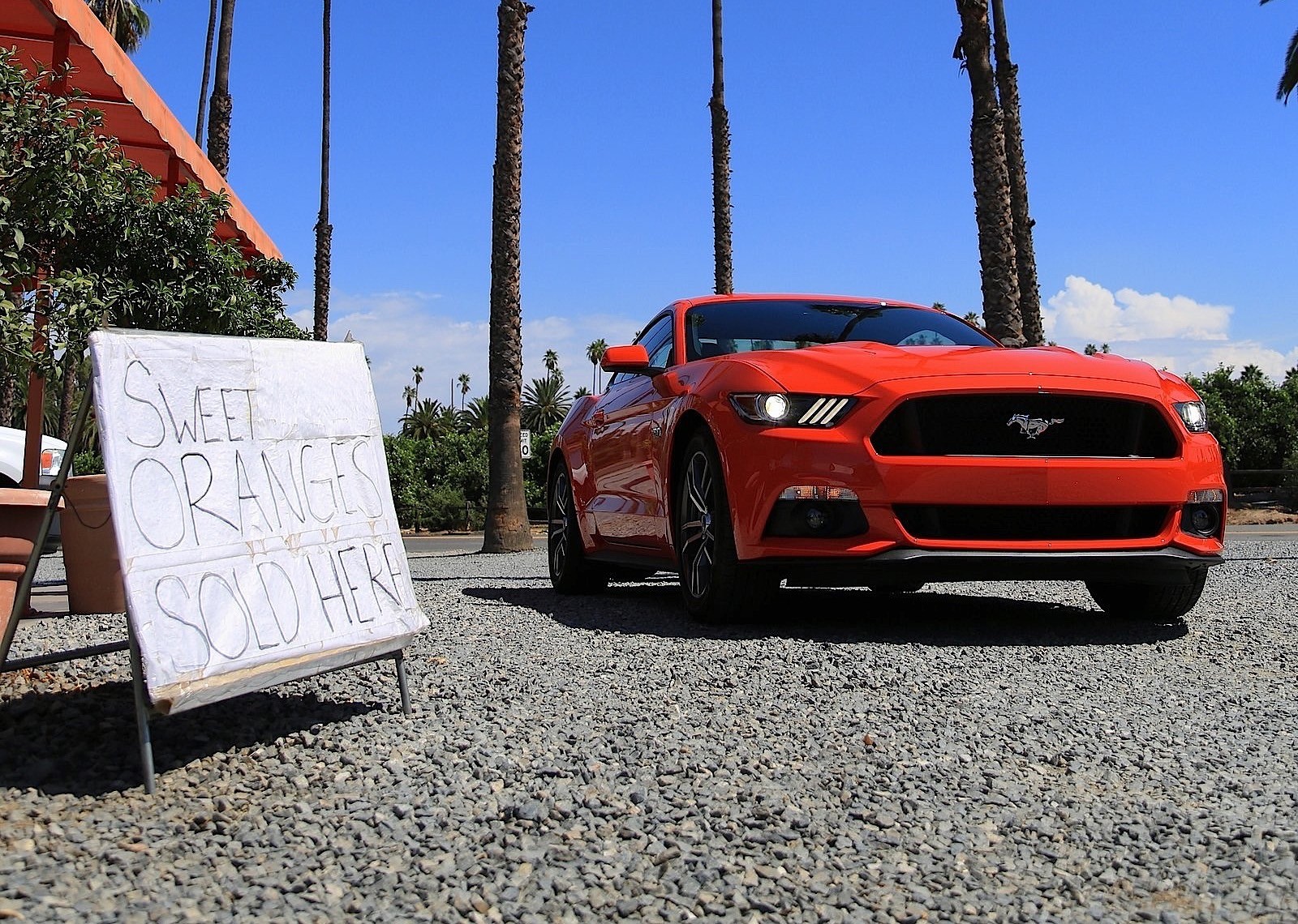 Ford Mustang photo 69