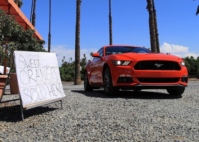 Ford Mustang Foto 69