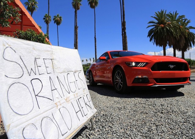 Ford Mustang Foto 71