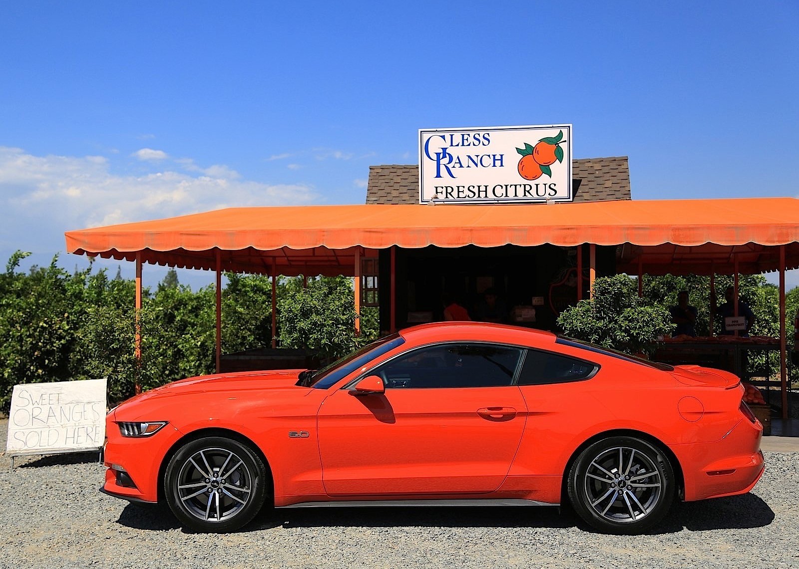 Ford Mustang photo 76