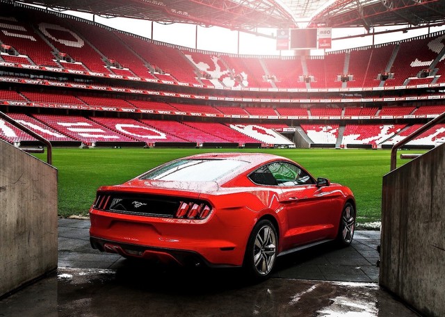 Ford Mustang Foto 81