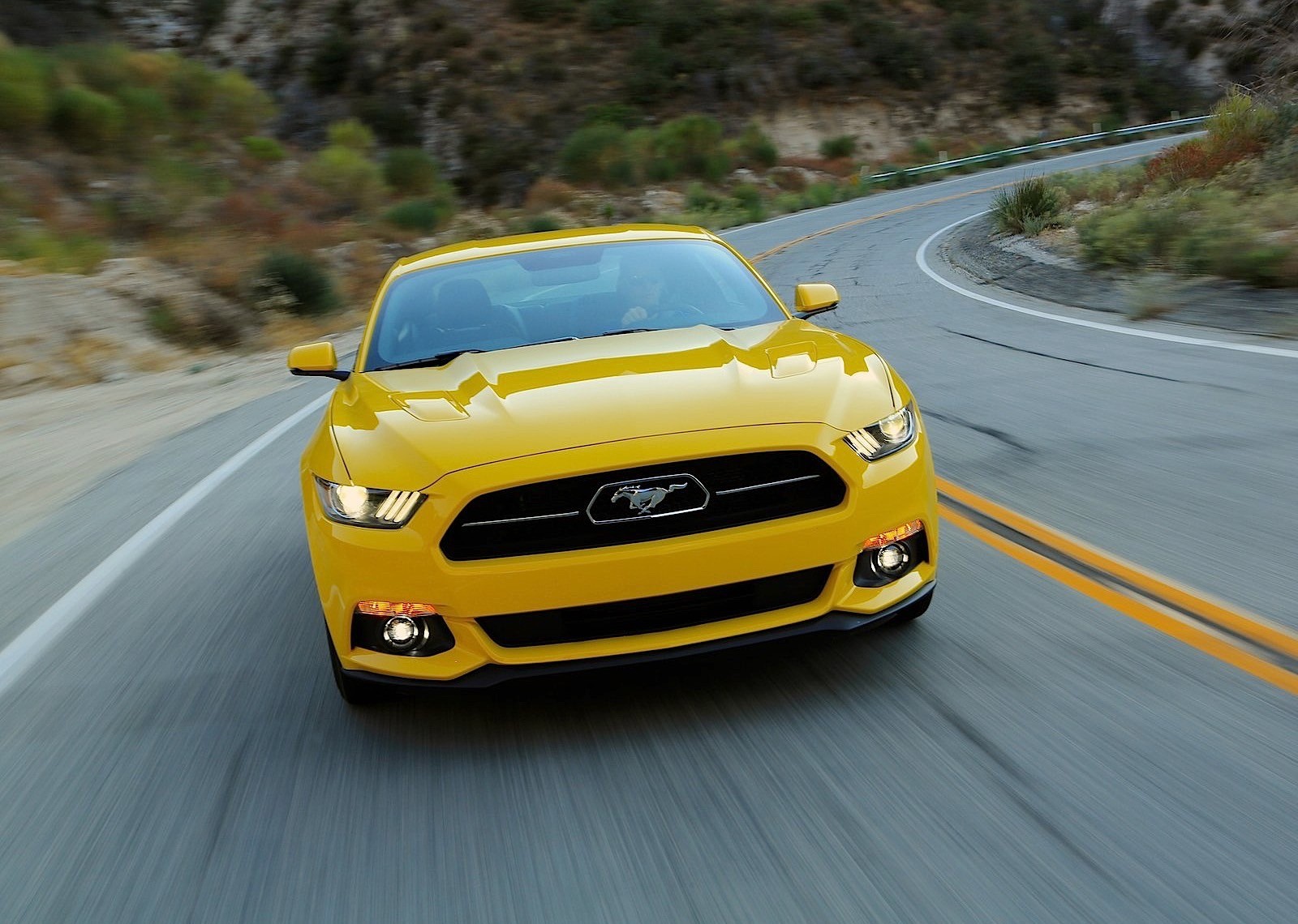 Ford Mustang photo 87